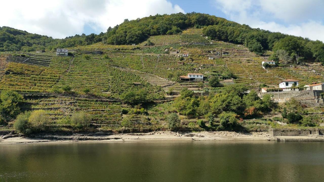 诺盖拉德拉姆A Casa Do Buxo别墅 外观 照片